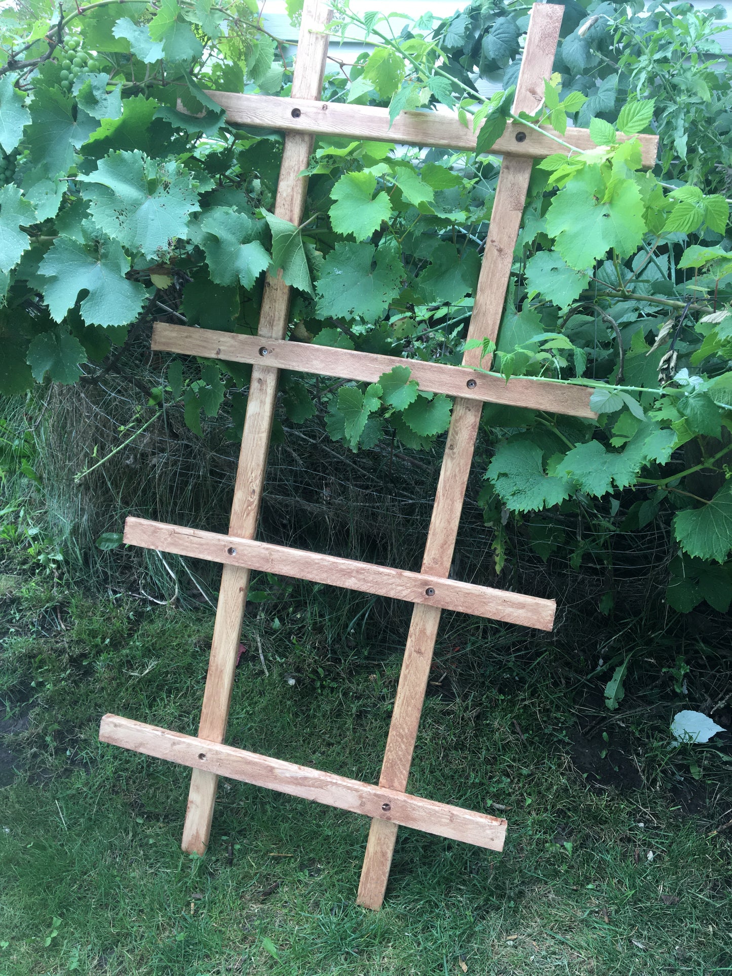 Wood Garden Trellis